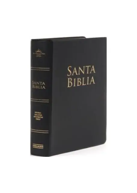 Santa Biblia RVR 1960
